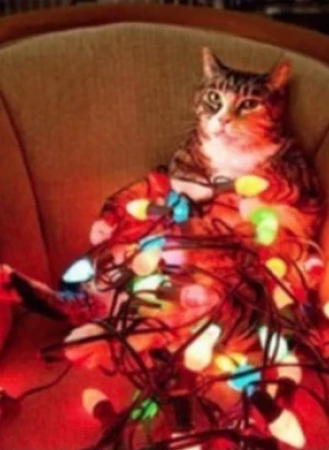 С Наступающим Новым 2026 Годом!