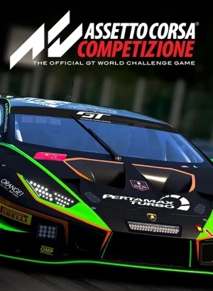 Assetto Corsa Competizione [v 1.10.4 + DLCs] (2019) PC | RePack от селезень