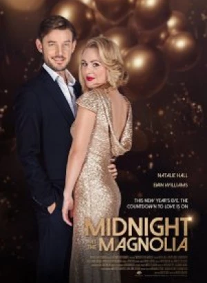 В полночь в Магнолии / Midnight at the Magnolia (2020) WEB-DL 1080p от селезень | Netflix