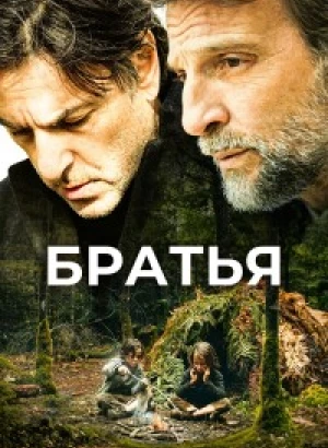 Братья / Frères (2024) BDRemux 1080p от селезень | P | CPI Films