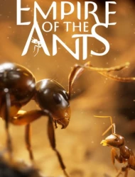 Empire of the Ants