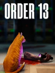 ORDER 13