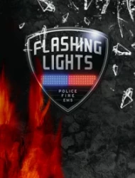 Flashing Lights - Полиция，Пожарные，Симулятор экстренных служб