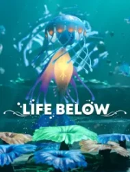 Life Below