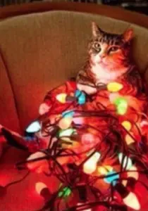 С Новым 2026 Годом!