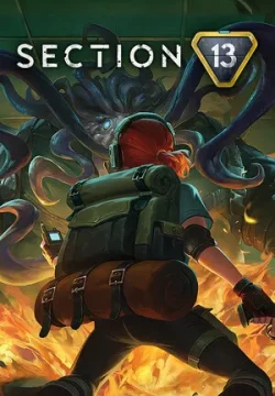 Section 13