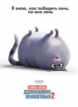 Тайная жизнь домашних животных 2 / The Secret Life of Pets 2 (2019) WEB-DL 1080p от селезень | HDRezka Studio