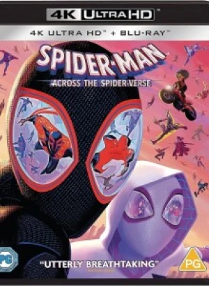 Человек-паук: Паутина вселенных / Spider-Man: Across the Spider-Verse (2023) UHD BDRemux 2160p от селезень | 4K | HDR | Dolby Vision | D | MovieDalen