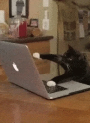 С 01.05.2021 Адрес selezen.site будет отключён