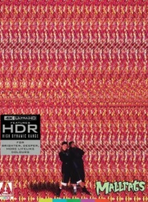 Тусовщики из супермаркета / Mallrats (1995) UHD BDRemux 2160p от селезень | 4K | HDR | Dolby Vision Profile 8 | Extended Cut | P