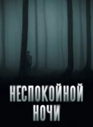 Неспокойной ночи / Nightman (2023) BDRip 1080p от селезень | D