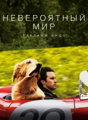 Невероятный мир глазами Энцо / The Art of Racing in the Rain (2019) BDRemux 1080p от селезень | Дублированный