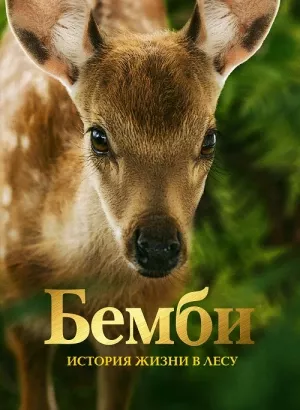 Бемби. История жизни в лесу / Bambi, l'histoire d'une vie dans les bois (2024) WEB-DLRip-AVC от DoMiNo & селезень | D | Кипарис