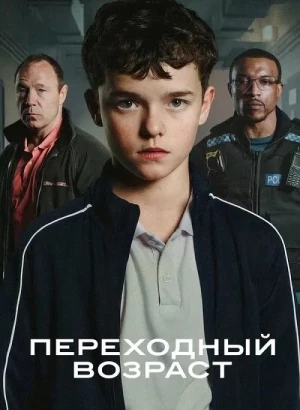 Переходный возраст / Подросток / Adolescence [S01] (2025) WEB-DLRip-AVC от DoMiNo & селезень | P | Winmedia