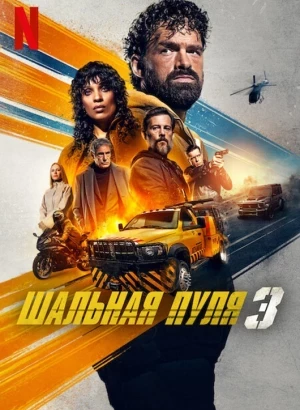 Шальная пуля 3 / Balle perdue 3 / Lost Bullet 3 (2025) WEB-DLRip-AVC от DoMiNo & селезень | Le-Production