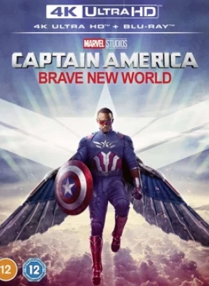 Капитан Америка: Новый мир / Captain America: Brave New World (2025) UHD BDRemux 2160p от селезень | 4K | HDR | Dolby Vision | D