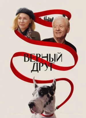 Верный друг / The Friend (2024) WEB-DLRip-AVC от DoMiNo & селезень | P