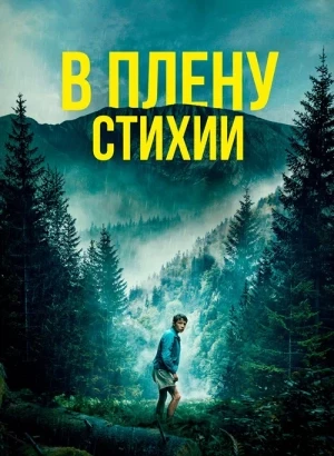 В плену стихии / Lost on a Mountain in Maine (2024) BDRip 1080p от селезень | D