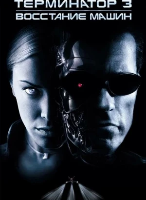 Терминатор 3: Восстание машин / Terminator 3: Rise of the Machines (2003) HybridRip 720p от DoMiNo & селезень | D, P | Open Matte