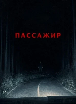 Пассажир / Passenger (2026) BDRip 720p от DoMiNo & селезень | D, Р | Продубляж, TVShows