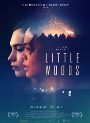 Лесок / Little Woods (2018) WEB-DL 1080p от селезень | HDRezka Studio