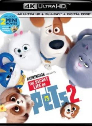 Тайная жизнь домашних животных 2 / The Secret Life of Pets 2 (2019) UHD BDRemux 2160p от селезень | 4K | HDR | Лицензия