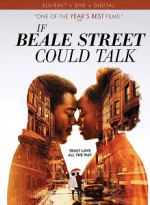 Если Бил-стрит могла бы заговорить / If Beale Street Could Talk (2018) BDRip 1080p от селезень | Лицензия