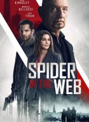 Старые шпионские игры / Spider in the Web (2019) BDRip 1080p от селезень | iTunes