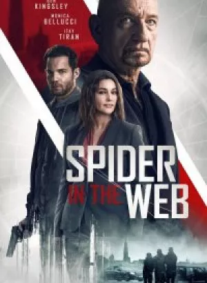 Старые шпионские игры / Spider in the Web (2019) BDRemux 1080p от селезень | iTunes