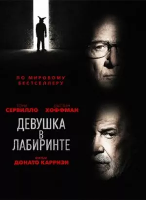 Девушка в лабиринте / L'uomo del labirinto (2019) BDRemux 1080p от селезень | iTunes