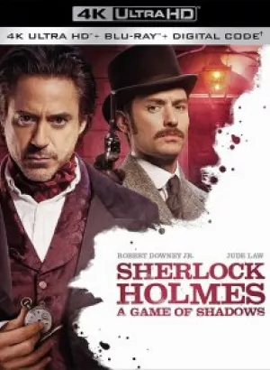 Шерлок Холмс: Игра теней / Sherlock Holmes: A Game of Shadows (2011) UHD BDRemux 2160p от селезень | 4K | HDR | D, A | Лицензия