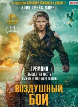 Воздушный бой / Shadow in the Cloud (2020) BDRemux 1080p от селезень | HDRezka Studio