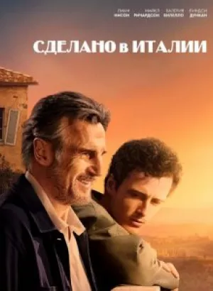 Сделано в Италии / Made in Italy (2020) BDRip 1080p от селезень | GER Transfer | iTunes