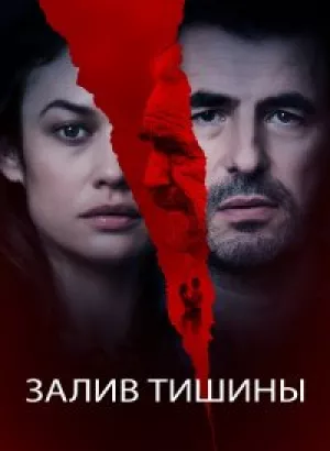 Залив тишины / The Bay of Silence (2020) BDRemux 1080p от селезень | iTunes