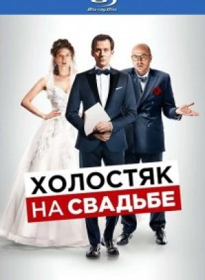 Холостяк на свадьбе / Le discours (2020) BDRip-AVC от DoMiNo & селезень | D