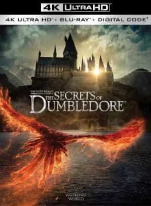 Фантастические твари: Тайны Дамблдора / Fantastic Beasts: The Secrets of Dumbledore (2022) UHD BDRemux 2160p от селезень | 4K | HDR | Dolby Vision Profile 8 | Лицензия