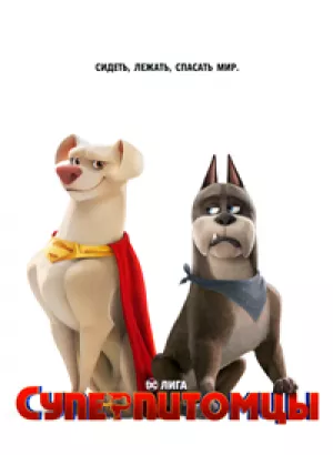 Суперпитомцы / DC League of Super-Pets (2022) BDRip 1080p от селезень | D, P | Лицензия