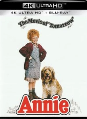 Энни / Annie (1982) UHD BDRemux 2160p от селезень | 4K | HDR | P