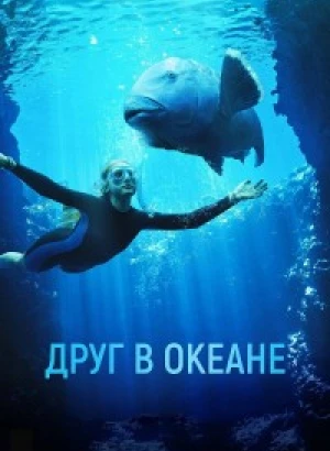 Друг в океане / Blueback (2022) WEB-DLRip-AVC от DoMiNo & селезень | D | Локализованная версия