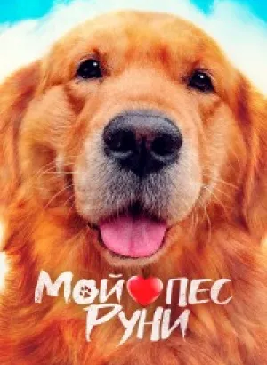 Мой пёс Руни / Meongmongi / My Heart Puppy (2022) WEB-DLRip-AVC от DoMiNo & селезень | D