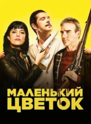 Маленький цветок / Petite fleur / 15 Ways to Kill Your Neighbour (2022) WEB-DLRip-AVC от DoMiNo & селезень | P