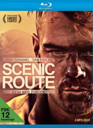 Живописный маршрут / Scenic Route (2013) BDRip-AVC от DoMiNo & селезень | P, A