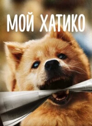 Мой Хатико / Hachiko / Zhong quan ba gong (2023) BDRip-AVC от DoMiNo & селезень | D