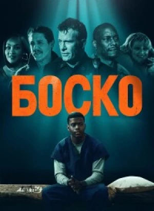 Боско / Bosco (2024) WEB-DLRip 720p от DoMiNo & селезень | D