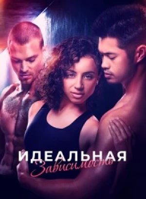 Идеальная зависимость / Perfect Addiction (2023) BDRip 720p от селезень | D