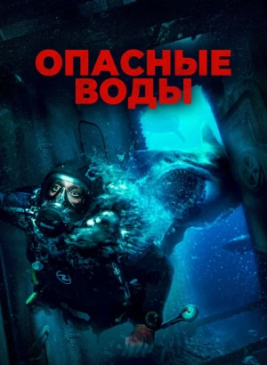 Опасные воды / The Last Breath (2024) BDRip 1080p от селезень | D