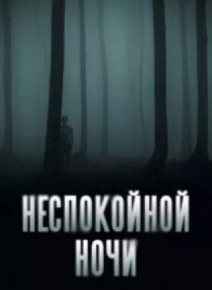 Неспокойной ночи / Nightman (2023) WEB-DLRip-AVC от DoMiNo & селезень | D