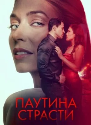 Паутина страсти / Demise (2024) WEB-DLRip от DoMiNo & селезень | D