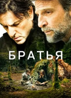 Братья / Frères (2024) BDRip 720p от DoMiNo & селезень | P